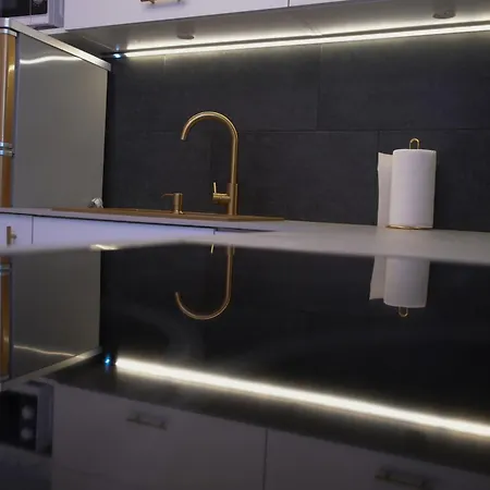 Golden Silesian Place Apartment
